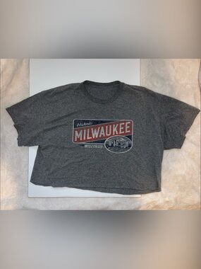 Historic Milwaukee Graphic Heather Gray Tee